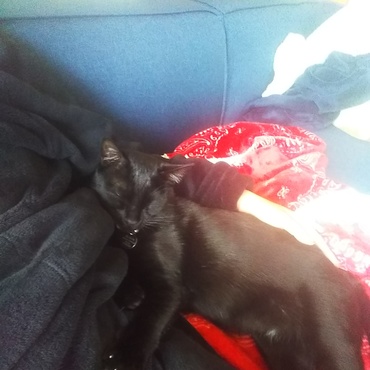 ひっつきジジちゃん