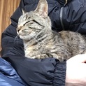 寒空の下、保護したムギワラちゃんです❗️