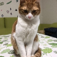 田邉そら
