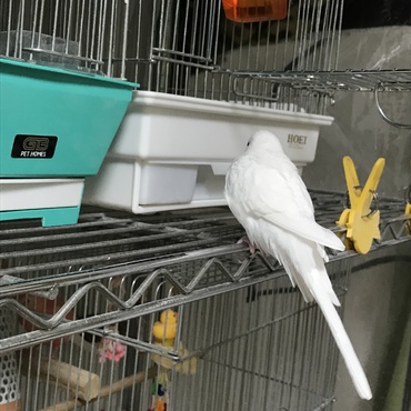 退屈してきたかな