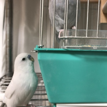 遊びたいのに。