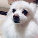 ありがとうございました。