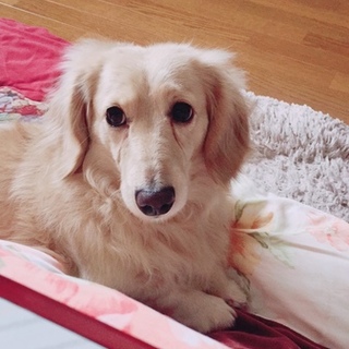 名前はこぅです