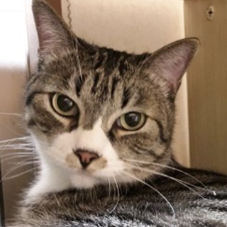 3/24田原町★福くん★お腹を出してスリスリ～