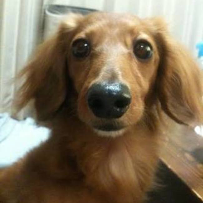 ふじわらたくまのカバー写真