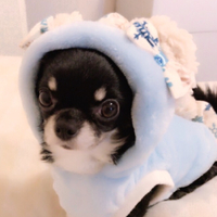 にな