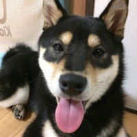すず