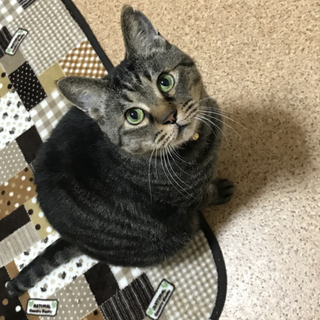 おじいとは名ばかり。