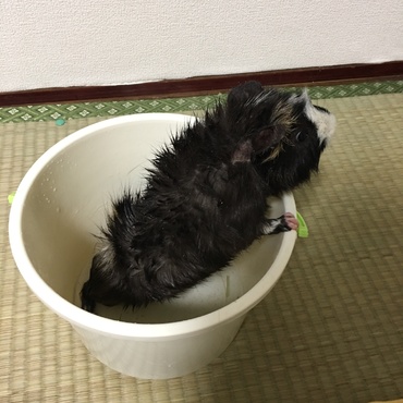 の写真