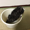 の写真