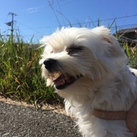 なな