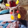 の写真