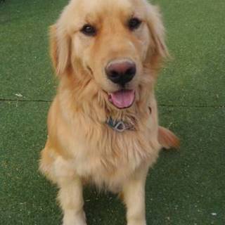 応募者多数の為、一度募集を終了致します