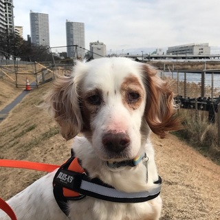 天然系の甘えん坊王子