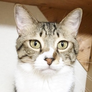 3/11銀座★あんこくん★優しいお兄ちゃんです