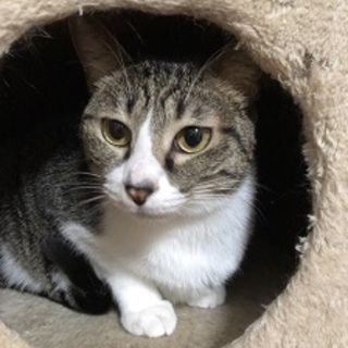 3/11銀座★キキちゃん★おっとりさんの妹です