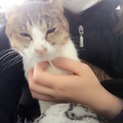 よろしくお願いします