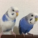 たくさんのご応募ありがとうございました！！