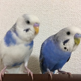 たくさんのご応募ありがとうございました！！