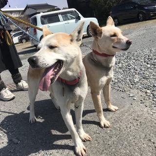 里親様が決まりました♡有難うございました！