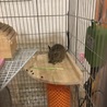 お気に入りの場所