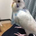 たくさんのご応募ありがとうございました！！