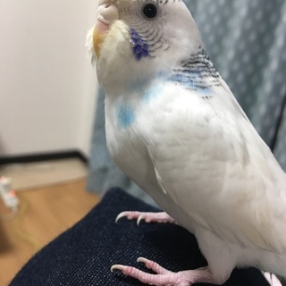 たくさんのご応募ありがとうございました！！