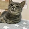 にこたろう
