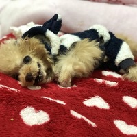 アール