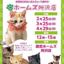 犬猫譲渡会 in 島忠ホームズ 所沢店