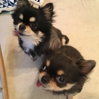 ハッピー、ラッキー