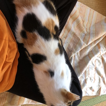 の写真