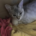 親子で引き取ってください