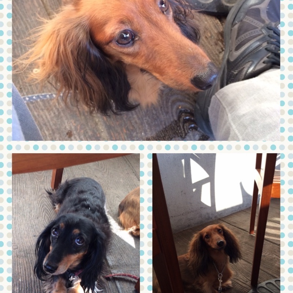 むぎのカバー写真