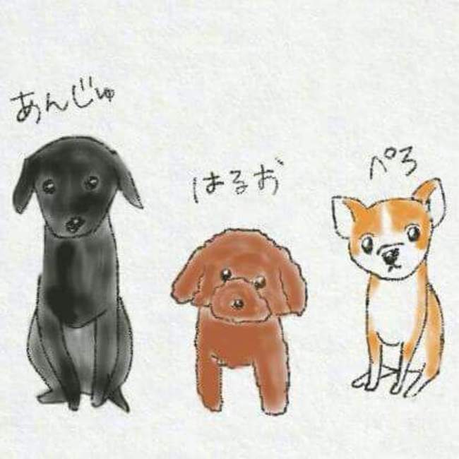 ナース119のカバー写真