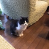 ビビりの甘えん坊
