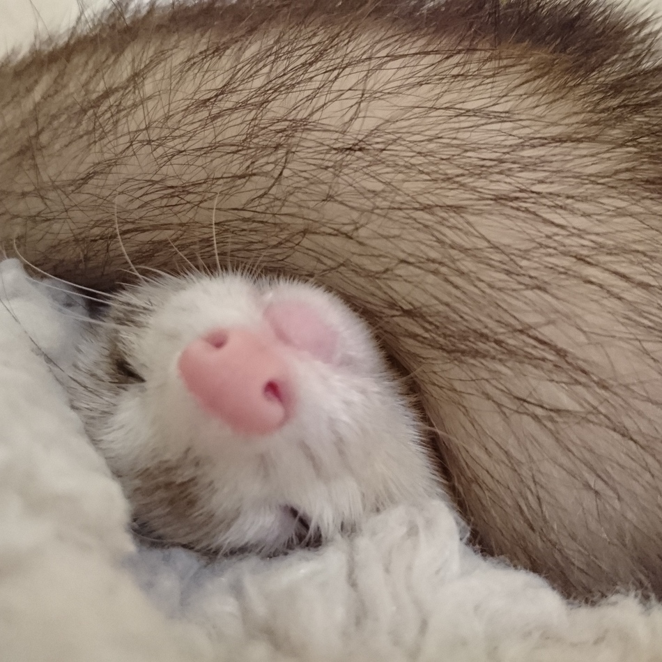 ろうのカバー写真