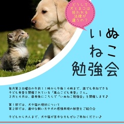 いぬねこ勉強会