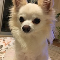 いち