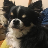 ここ