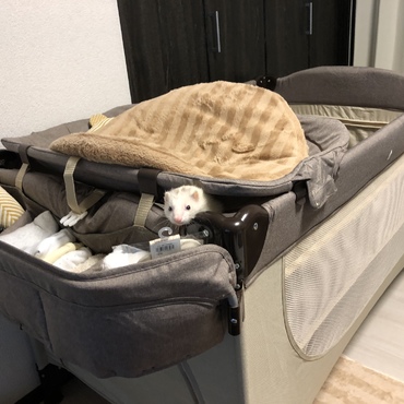 こんな所に‥