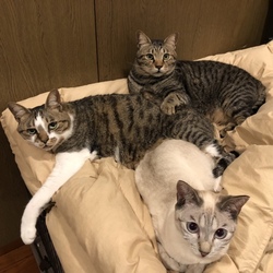 「気になったので…part2」サムネイル1