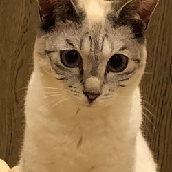 「気になったので…part2」サムネイル2