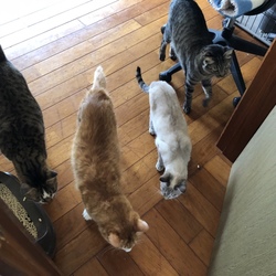 「気になったので…part2」サムネイル3