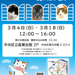 ねこざんまい譲渡会@東日本橋
