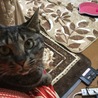 マロン