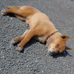 日なたぼっこ！