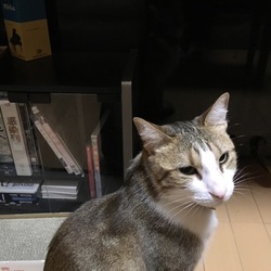仲良くなれる見込みはありますか?