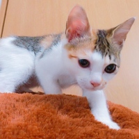 ぜんちゃん