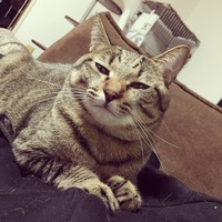 もなか